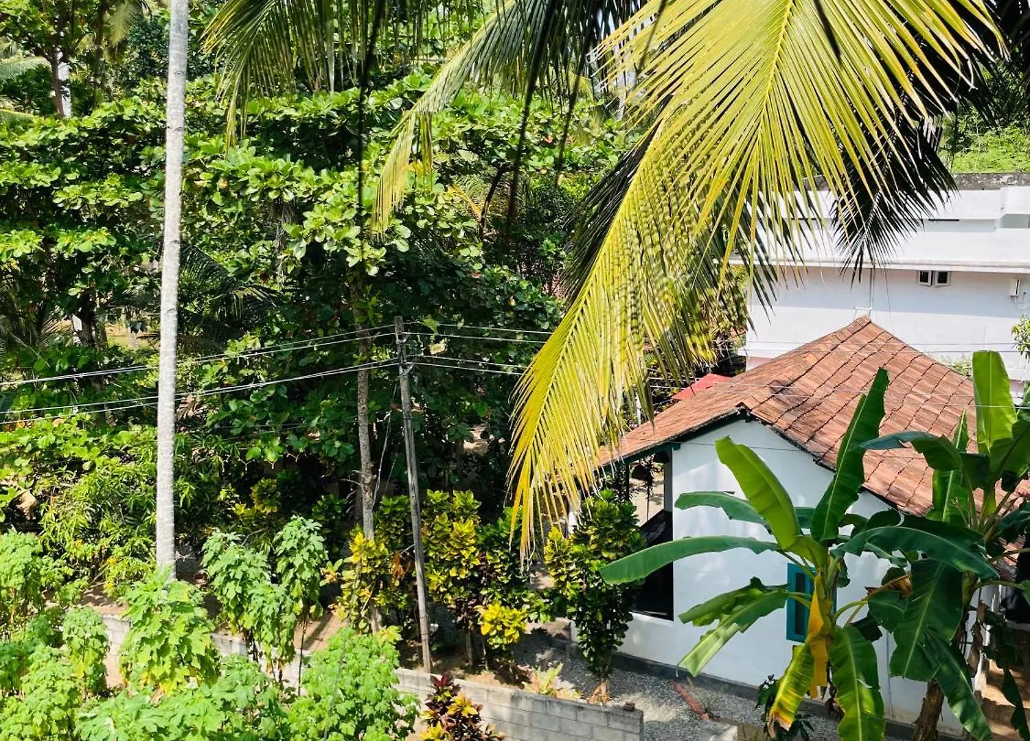 Albergue Cliff & Coral Varkala 0*,
