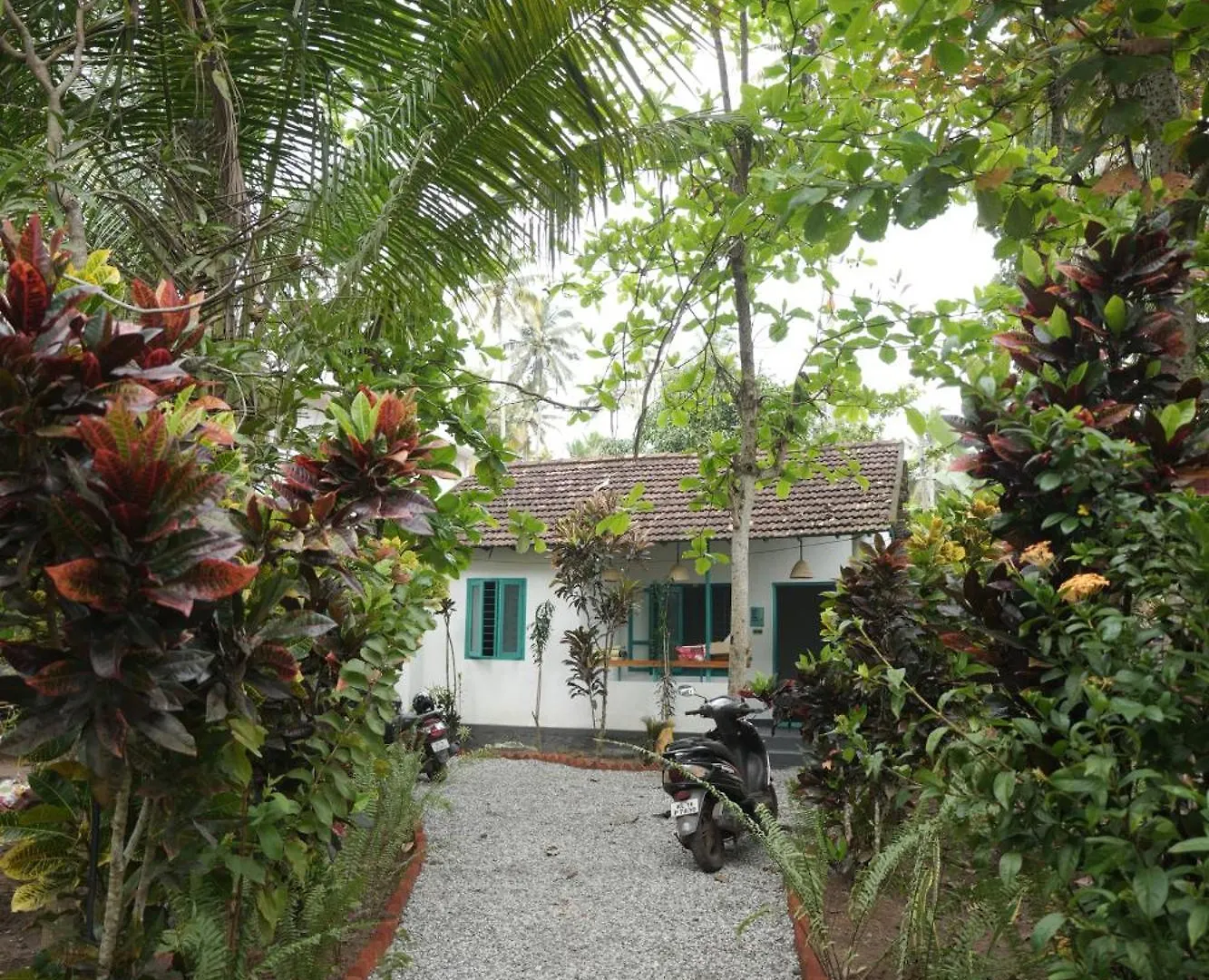 Albergue Cliff & Coral Varkala Hostal