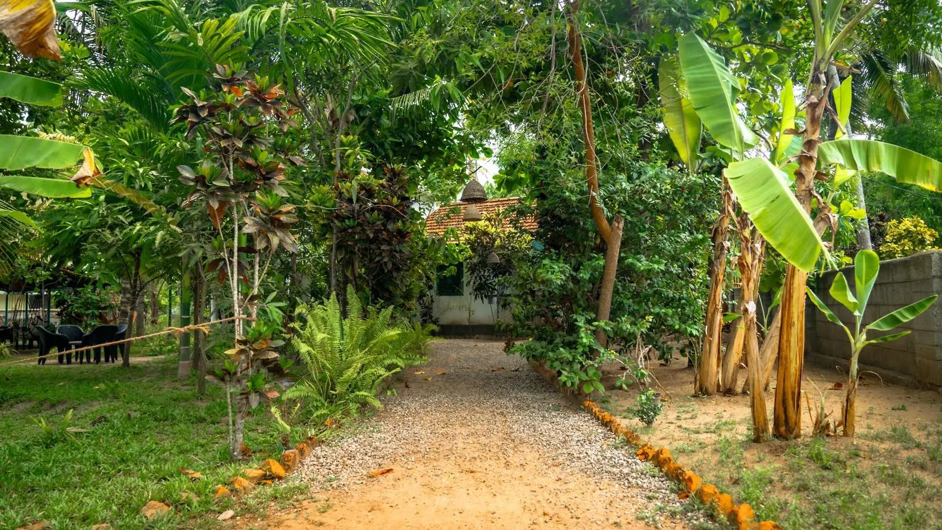 Albergue Cliff & Coral Varkala Hostal